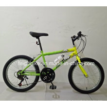 Herstellung 18 Speed ​​Student MTB 20 &quot;Mountain Bike (FP-KDB-17091)